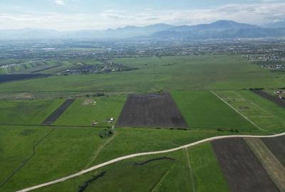 Teren de 8600 mp, în Stupini - 4