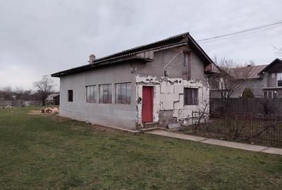 Casă cu Teren 3000 Mp în Mircea Vodă - 2