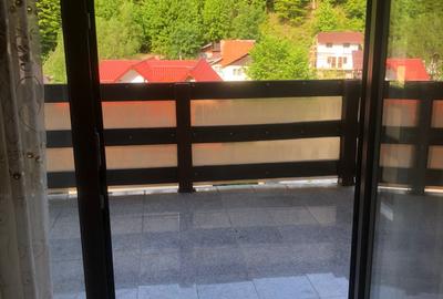 Apartament cu 2 camere de vanzare in Busteni - str. Nestor Ureche - 13