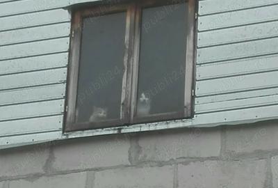 Casă cu 5 camere cu Teren 2100 Mp în Ordoreanu - 14