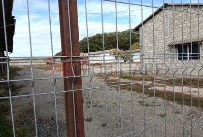 Ferma Agricolă 1.350 Hectare – Grad de Comasare 96–97%, Chișineu Criș, Județul A - 9