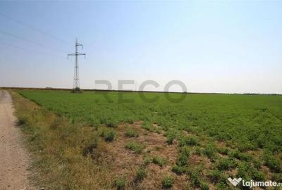 Teren de 17167 mp, în Șinteu - 1