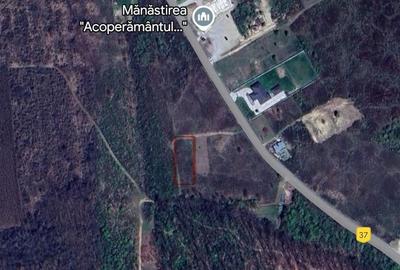 Teren intravilan de 650 mp, în Paleu