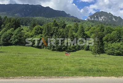 Teren intravilan Zarnesti Plaiul Foii - 10