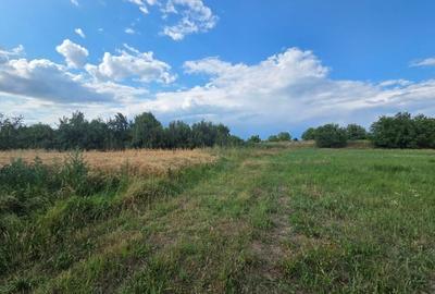 VANZARE 8000 MP. - STR. AUREL VLAICU - GAESTI - POSIBILITATE PARCELARE - 5