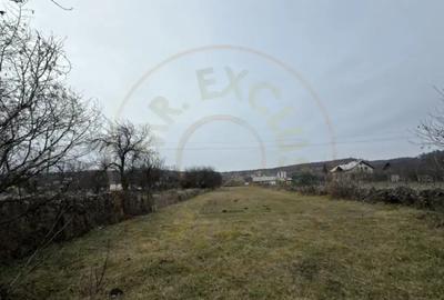 Teren de 3000 mp, în Exterior Vest - 15