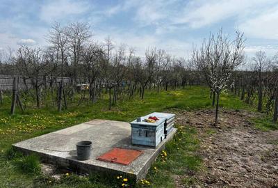 Casă cu 4 camere în Central - 4