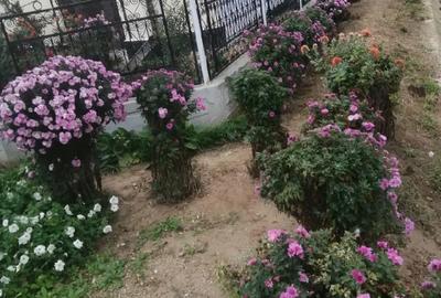 Casă în Orodel - 5