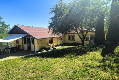 Casa Breaza , situata in zona de deal ,in mijlocul naturii ,spectacol de lumini - 16