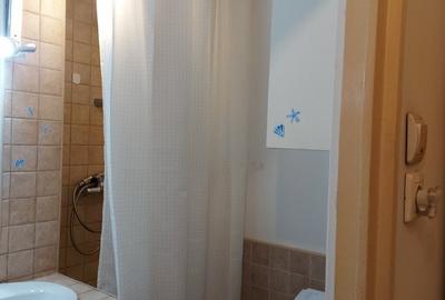 Panduri- garsoniera cocheta la cinci minute de metrou!! - 16