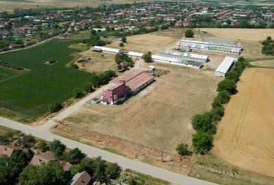 Fabrică de nutrețuri combinate - 3