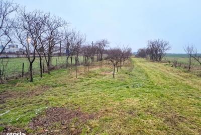 Casă cu 3 camere cu Teren 750 Mp în Bicaci - 1