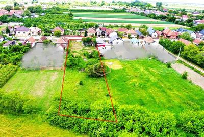 Casă individuală cu 2 camere cu Teren 2211 Mp în Sud-Est - 6