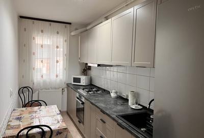 Garsoniera  spatioasa renovata Llazaret Compa str Otelarilor - 1