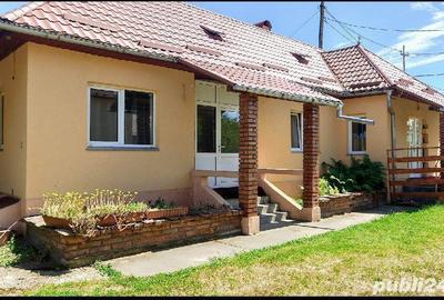 Casă cu 7 camere cu Teren 9800 Mp în Șintereag - 2