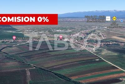 Teren agricol extravilan de 28000 mp, în Șura Mică