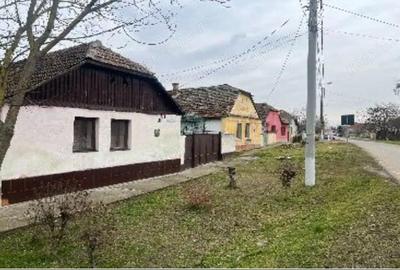 Cota de 1/2 din casa si teren, Loc Periam, Jud Timis - 1