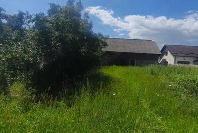 Teren intravilan, 10000mp, zona Maneuti, Radauti - 2