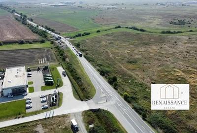 Teren de 55000 mp, în Sânandrei - 6