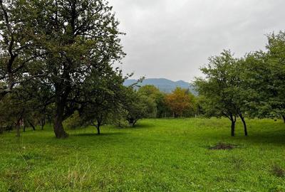 Spațiu comercial, în Hoteni - 5