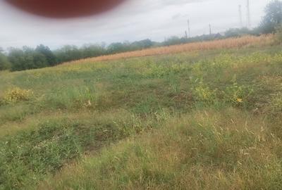 Spațiu comercial, în Poiana Lacului - 4