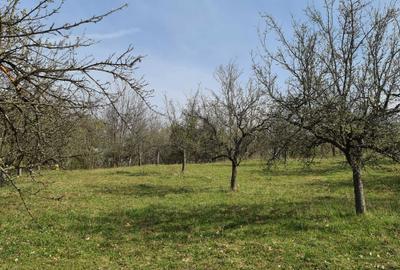 Spațiu comercial, în Șuici - 2