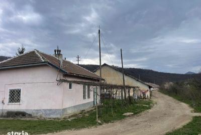 Spațiu comercial, de 18,246 mp, în Central - 9