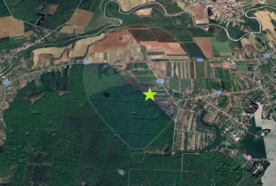 Teren intravilan, 450mp, Gruiu/Ilfov Teren intravilan, 450mp, Gruiu/Ilfov - 5