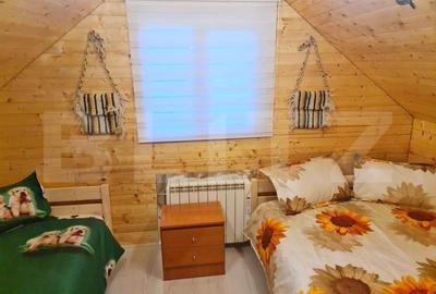 EXCLUSIV BLITZ !  Cabana in statiunea Muntele Baisorii - 13