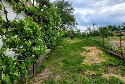 Casa 2 camere cu suprafata 50mp si teren 1300mp,in Miercurea Sibiului - 7