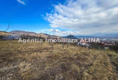 15 parcele de Teren intravilan in Deva, zona Calugareni, Strada Prunilor, Jud. Hd, cu PUZ, PUD, etc. - 8