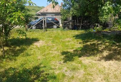 Persoana Fizica vand Teren Cluj - Borsa Catun - Intravilan 2300 mp - Extras CF - Cabana - Foisor - 2