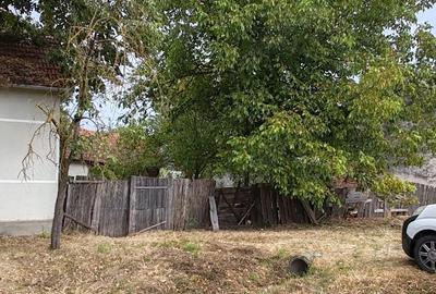 Casă cu Teren 3950 Mp în Bacău de Mijloc - 1