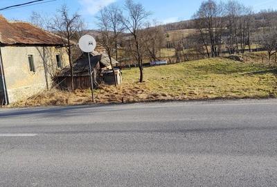 Casă în Ciucea - 9