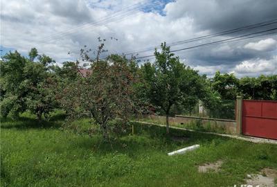 Casă cu 5 camere cu Teren 3500 Mp în Sântana - 10