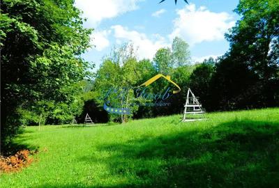 Teren intravilan de vanzare, Valea Doftanei Prahova - 5