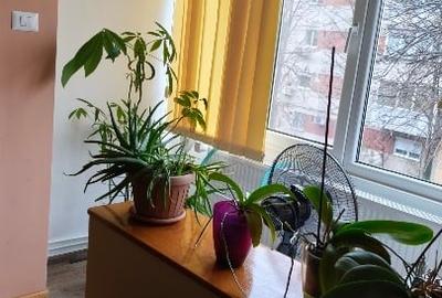 Apartament 4 camere, etaj 2, boxa, garaj - zona Steaua - 15