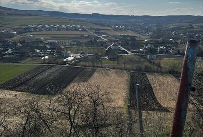 Teren de 9000 mp, în Baciu - 4