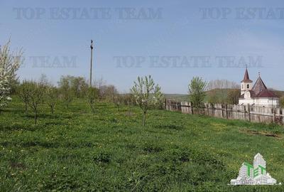 Teren Construcții intravilan de 3481 mp, în Loamneș - 2