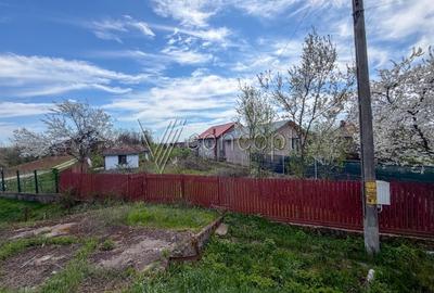 Teren Construcții intravilan de 3252 mp, în Periș - 7