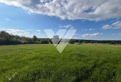 Teren pentru dezvoltare imobiliara - 9 loturi - 5764 mp Rasinari - 4