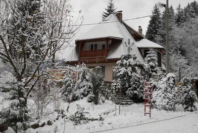 Casă cu 6 camere cu Teren 4600 Mp în Tarcău - 7
