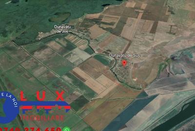 ID 7829 EXCLUSIVITATE - Teren INTRAVILAN in DUNAVA?U DE SUS - 4