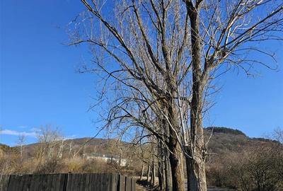 Teren Sanpetru 900mp Lempes - 6