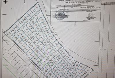 Frumușani 400 mp, Lot 30 RG 1, gaz, curent, 18.182 € + TVA - 2