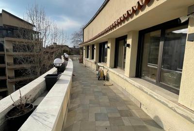 Birou, de 200 mp, în Primăverii