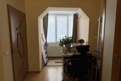 Garsonieră semidecomandată în Timișu de Jos - 8