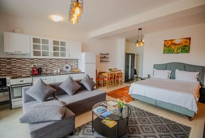 Garsonieră cu Balcon de Închiriat la Lakeview Residences Snagov - 3