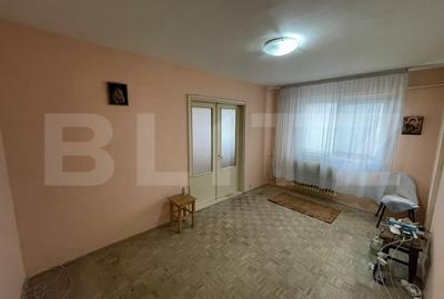Apartament cu 2 camere semidecomandat în Valea Rosie - 3