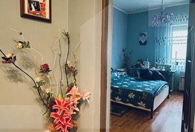 Apartament cu 3 camere în Radna - 10